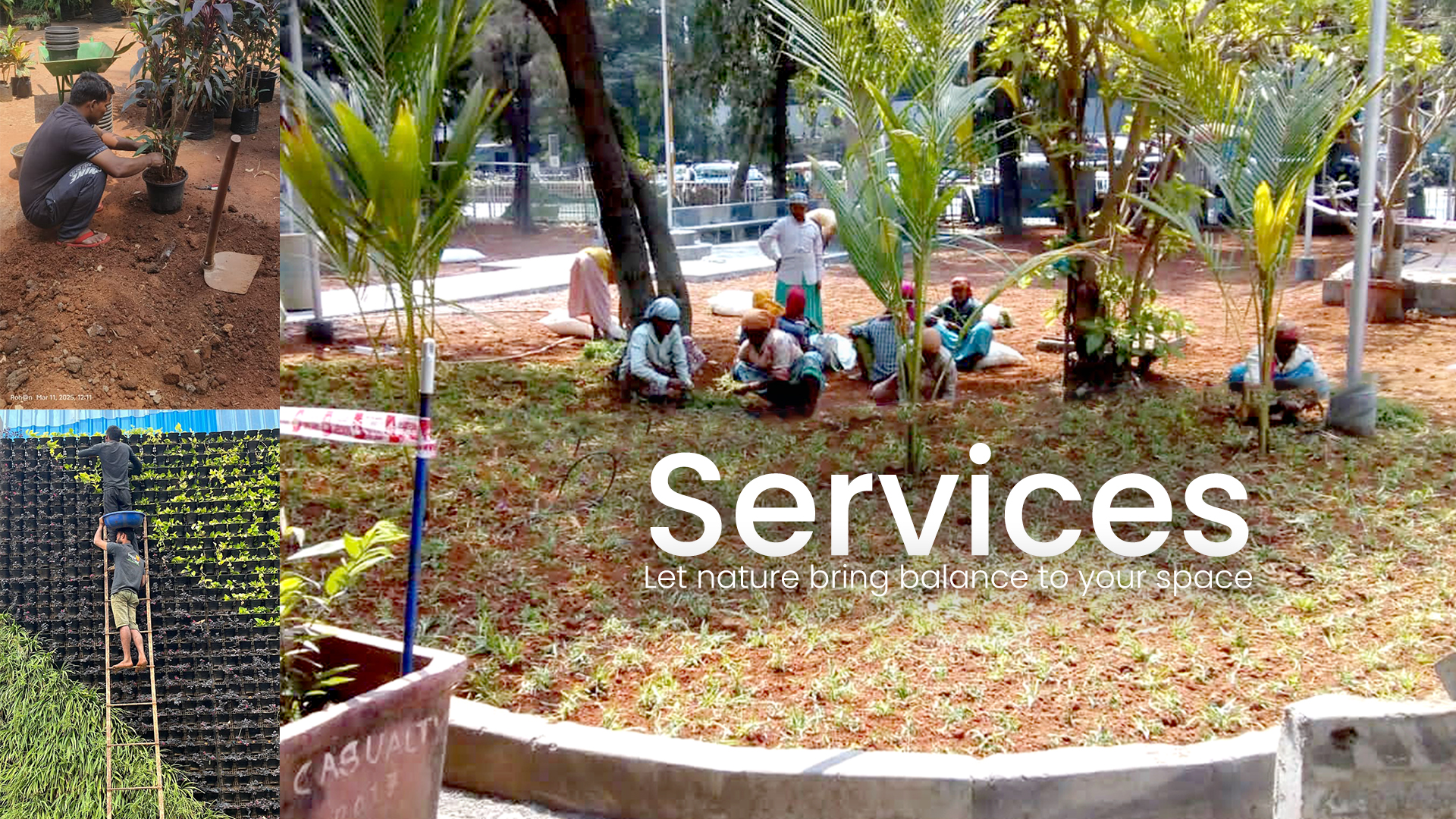 Professional landscaping services